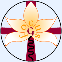 Il logo del Gruppo di Gesù